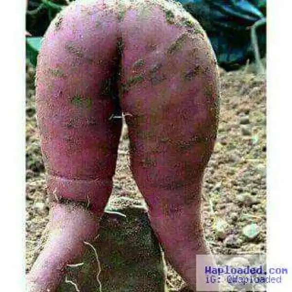 Checkout This Photo And Tell Us What You See